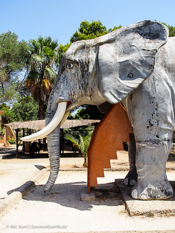 Mallorca Zoo Safari Playground | GourmetGuerilla.com