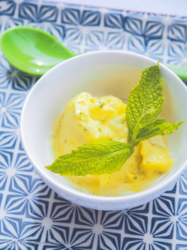 Pineapple Sorbet with Rum and Mint | GourmetGuerilla.com